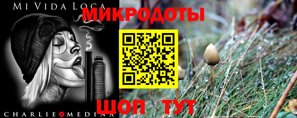 Галлюциногенные грибы GOLDEN TEACHER Саранск